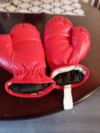 GOOD SHAPE SIZE SMALL EVERLAST BOXING GLOVES