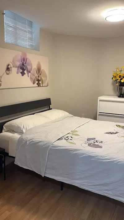 Fully Furnished 1 Bedroom Basement - Mississauga, View more