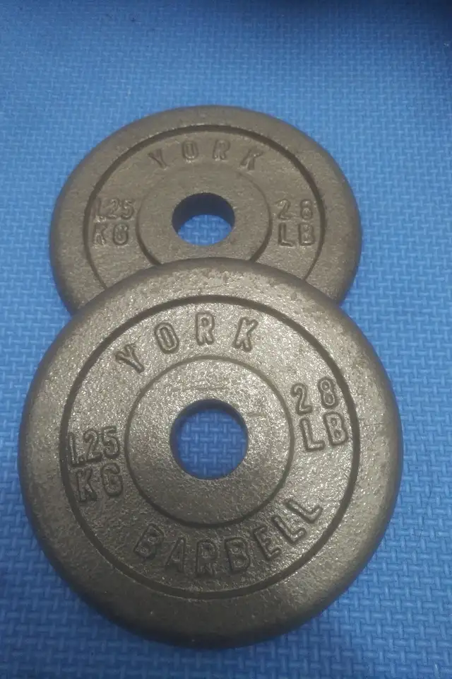 weight plates ($1.35/lbs) in Exercise Equipment in Delta/Surrey/Langley - Image 8
