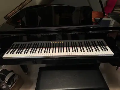 grand piano, View more