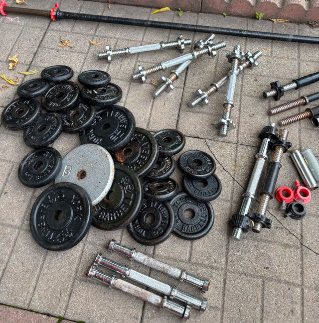 Metal Weights/Dumbells/Barbell in Exercise Equipment in Ottawa - Image 2