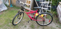 ADULT SPORTS BICYCLE FOR SALE! 