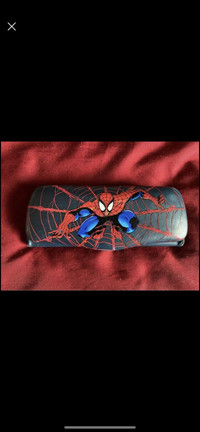 Spiderman glasses case