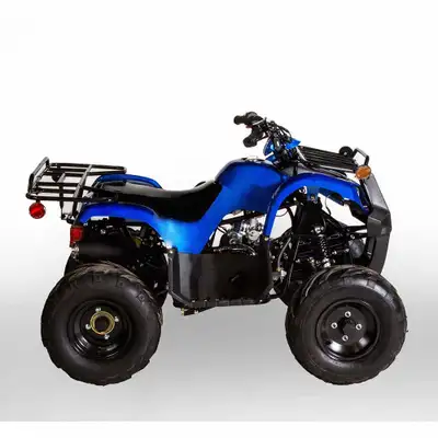 Selling my 125cc gas quad in new condition. Rated for up to 200 lbs and fully equipped with a 3000 l...