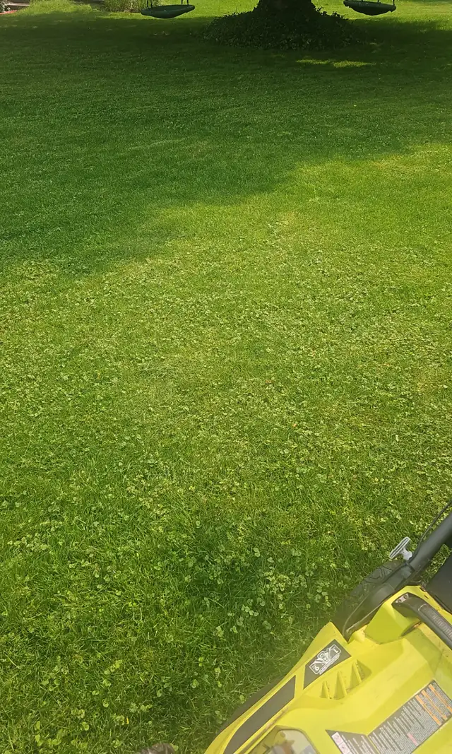 Grass Cutting Services – Fast, Affordable & Reliable! .628637151626271220