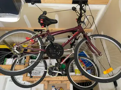 Women’s Mountain Bike – Sportek Ridge Runner $ 60 obo, View more