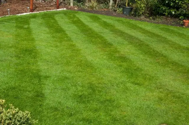 Lawn quote 63749434233729123