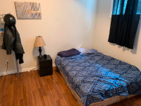 Fur is Ted  for rent / shared 2 bedroom suite