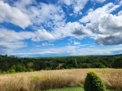 1890's style farm house on 15+acres. Amazing view, North of Port Hope. 4300sq ft of living space. 5...