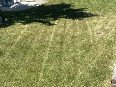need your lawn mowed?, View more