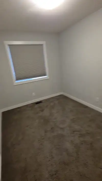 pet friendly house