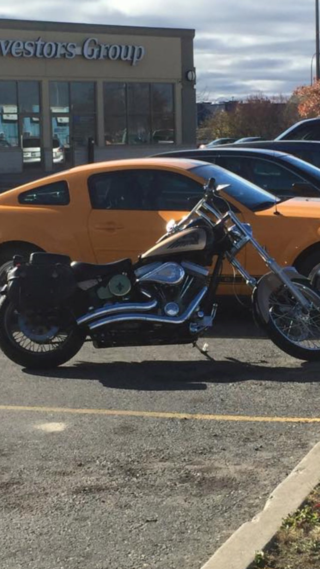  Indian Scout in Street, Cruisers & Choppers in Thunder Bay - Image 3