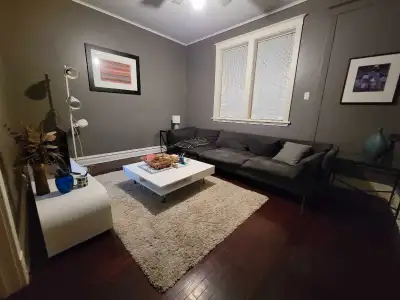 one bedroom apartment in heart of the.l Market