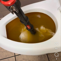 Basement drain, kitchen sink toilet, Shower Drain Clean