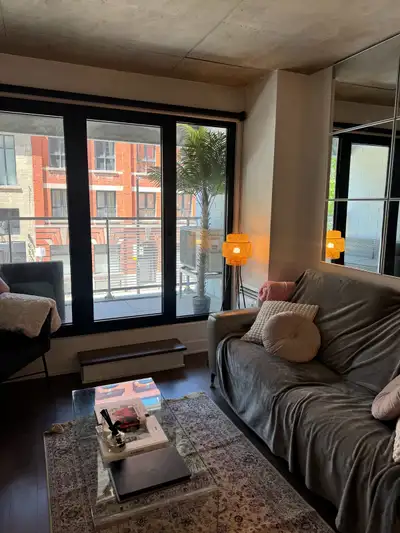 From July 1st or August 1st to January 31st Fully furnished 1 bedroom apartment in the center of Old...