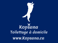 Soins de toilettage à domicile pour animaux Québec