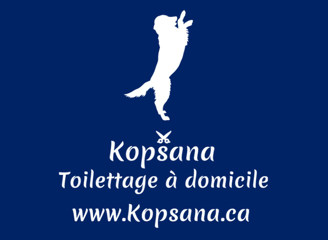 Soins de toilettage à domicile pour animaux Québec dans Services pour animaux  à Ville de Québec