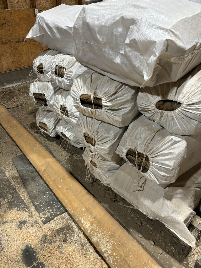 cheap firewood  in Other in Strathcona County