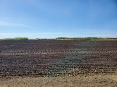 Full quarter section for sale near Donalda. Property is fenced, has 120 acres of pasture, 40 acres o...