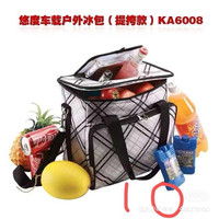 icebag lunch bag large 