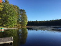 Wanted To Buy Cottage - Port Severn, 6 Mile Lake, Maclean Lake