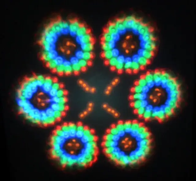 Big Funky Light, Bring some life to your party!63234832602115123