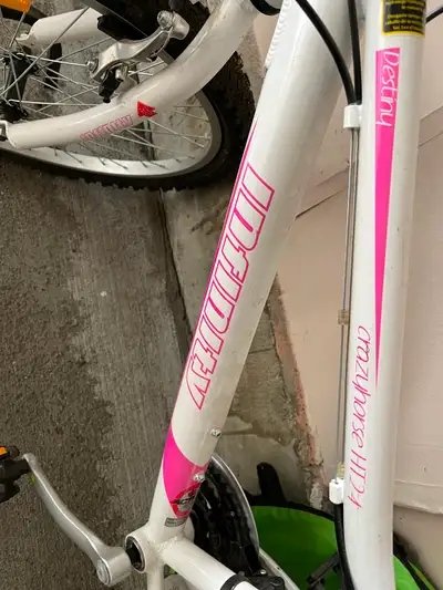Infinity Crazyhorse HT24 youth mountain bike, View more