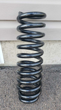 Moog 81118 Coil Spring (one only)