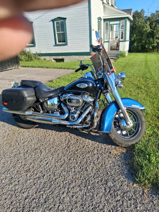 Harley Davidson softail in Street, Cruisers & Choppers in Ottawa - Image 4