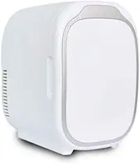 NEW 8 Liters Mini Refrigerator Makeup Skincare Fridge 110V /12V