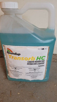 Roundup ready weed control.