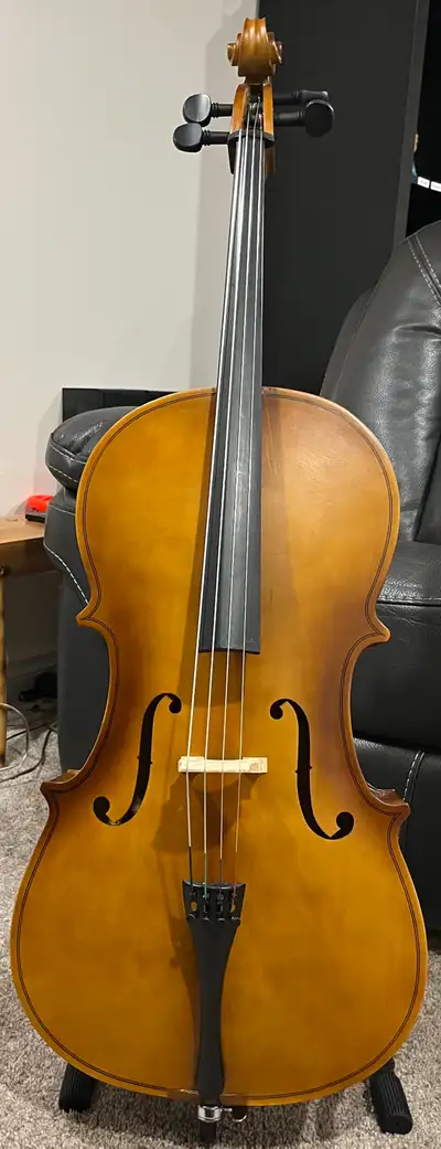 Ammoon Cello, View more