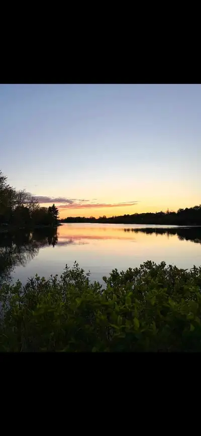 Home is Lakefront to PROFFESSORS LAKE (Bramalea & Bovaird) Looking for females in a shared room I ha...