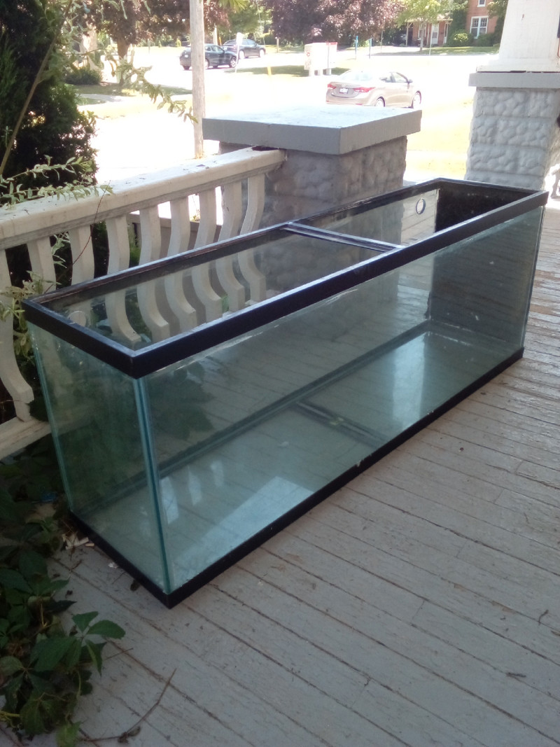 150 gallon aquarium drilled Fish for Rehoming London Kijiji