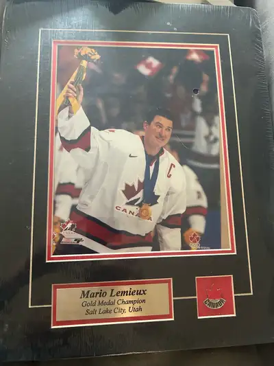 2010 Salt Lake City gold medal posters, View more