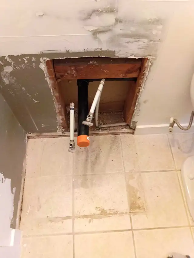 What The Flush Plumbing529384752693258243