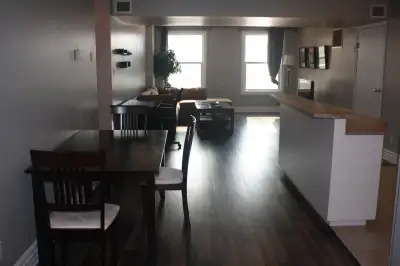 Beautiful fully furnished downtown condo available for rent