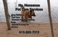 Dog Walking and Cat Care
