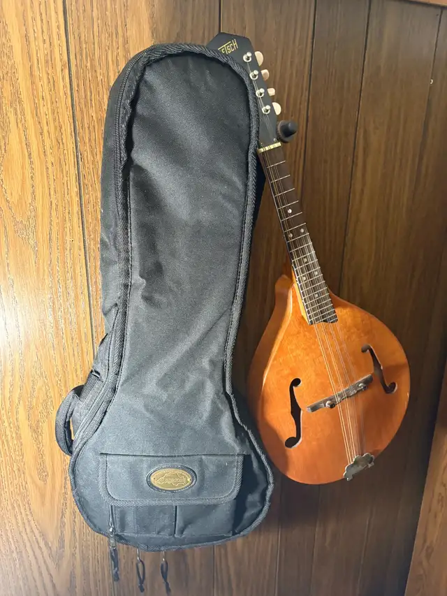 Mandolin in String in London - Image 3