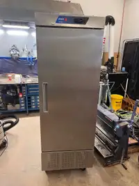 Standup Commercial Freezer