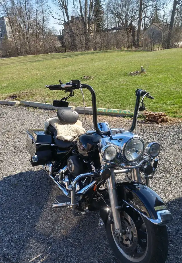 2008 flhr road king in Touring in Kingston - Image 2