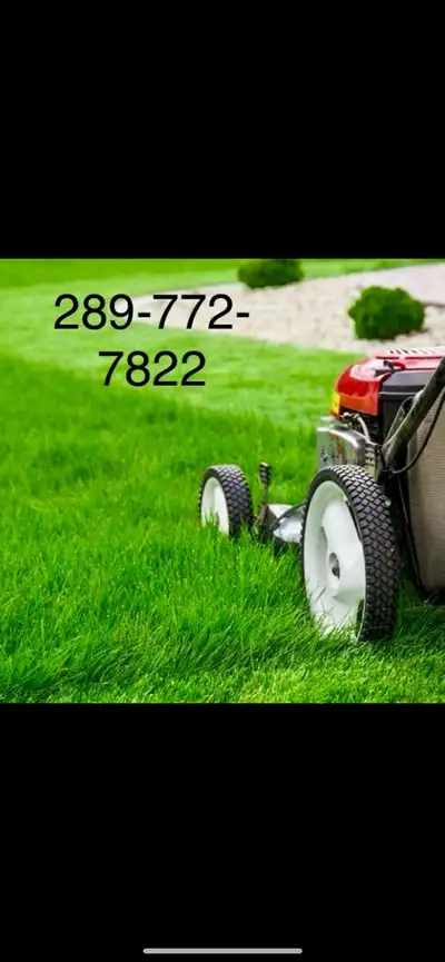 grass cutting 289-772-7822, View more
