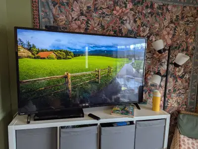 Works perfectly Pick up only I accept e transfer or cash Bought in 2023, can include Roku stick for...