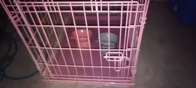cage pink, View more