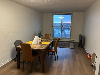 appartement colocation