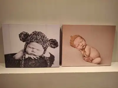 Ann Geddes style baby photos on canvas. Not her work though. Cost roughly $50 each new. $20 each or...