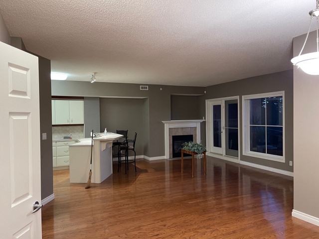 Professional Painting Service  in Painters & Painting in Edmonton - Image 4