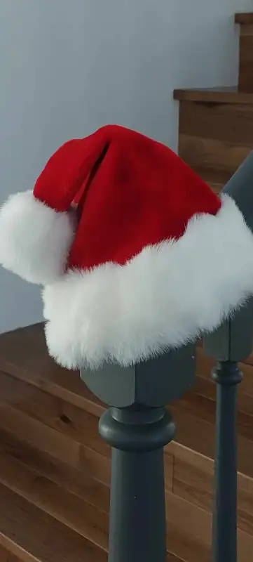 Christmas in Costumes in Regina - Image 2