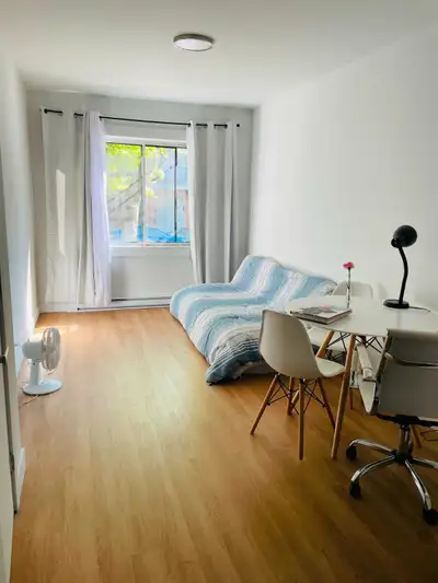 Studio apartment in Petite Patrie Montreal