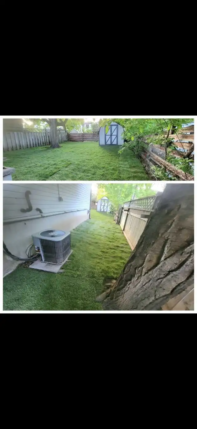 Snow Removal64529142964482122